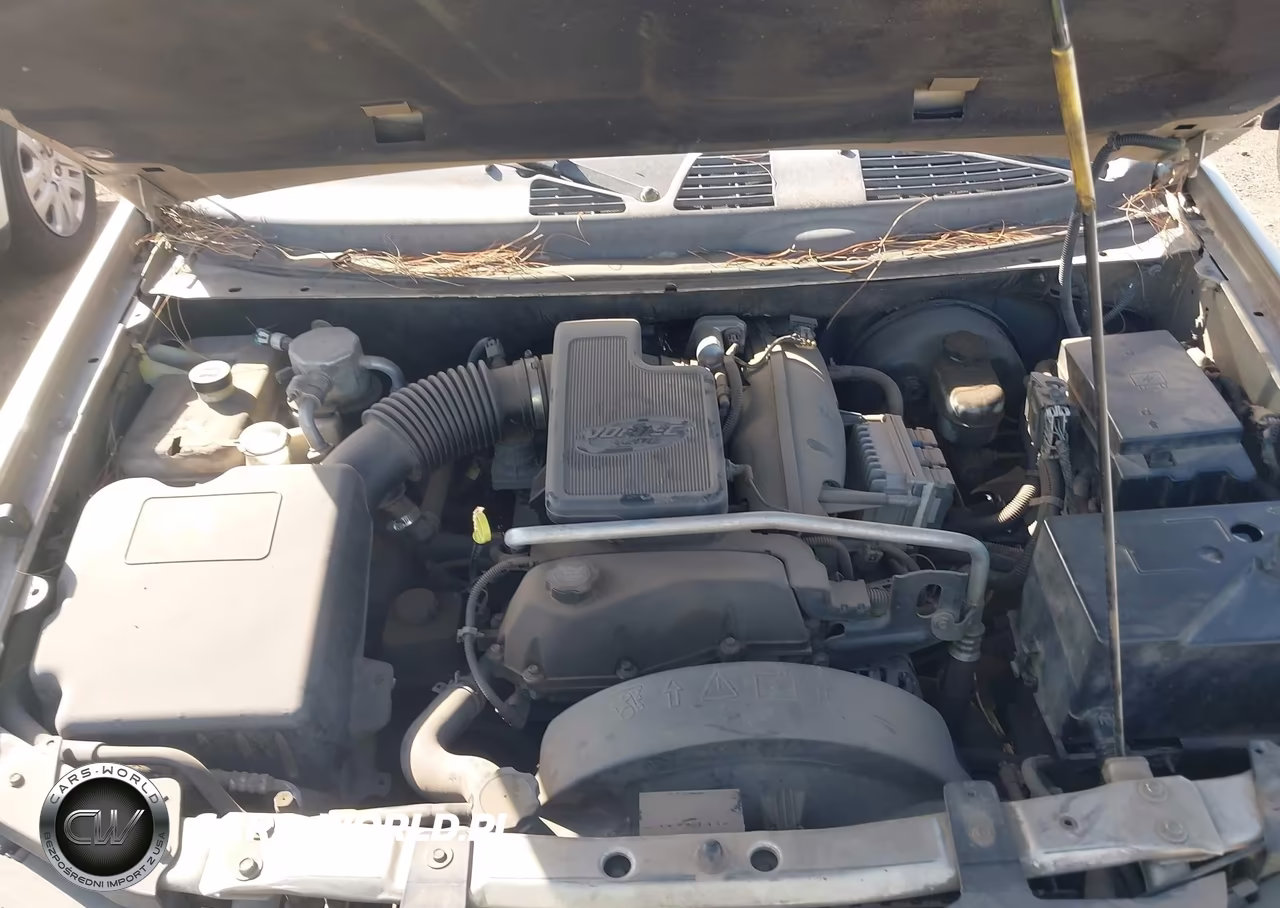 2004 Chevrolet Trailblazer Ls VIN:1GNDS13S842197144 - 10