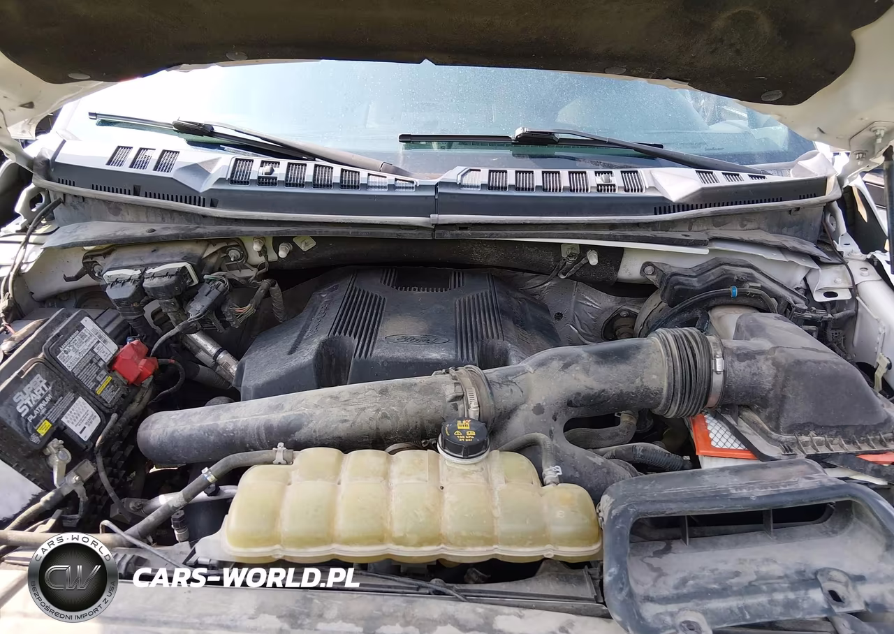 2019 Ford F-150 Xlt VIN:1FTEW1E45KKE14680 - 10