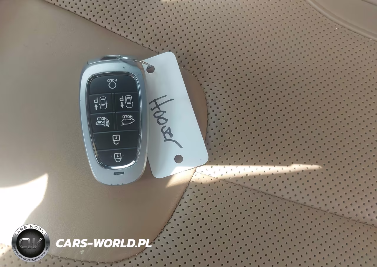 2023 Hyundai Santa Fe Calligraphy VIN:5NMS5DAL7PH585082 - 11