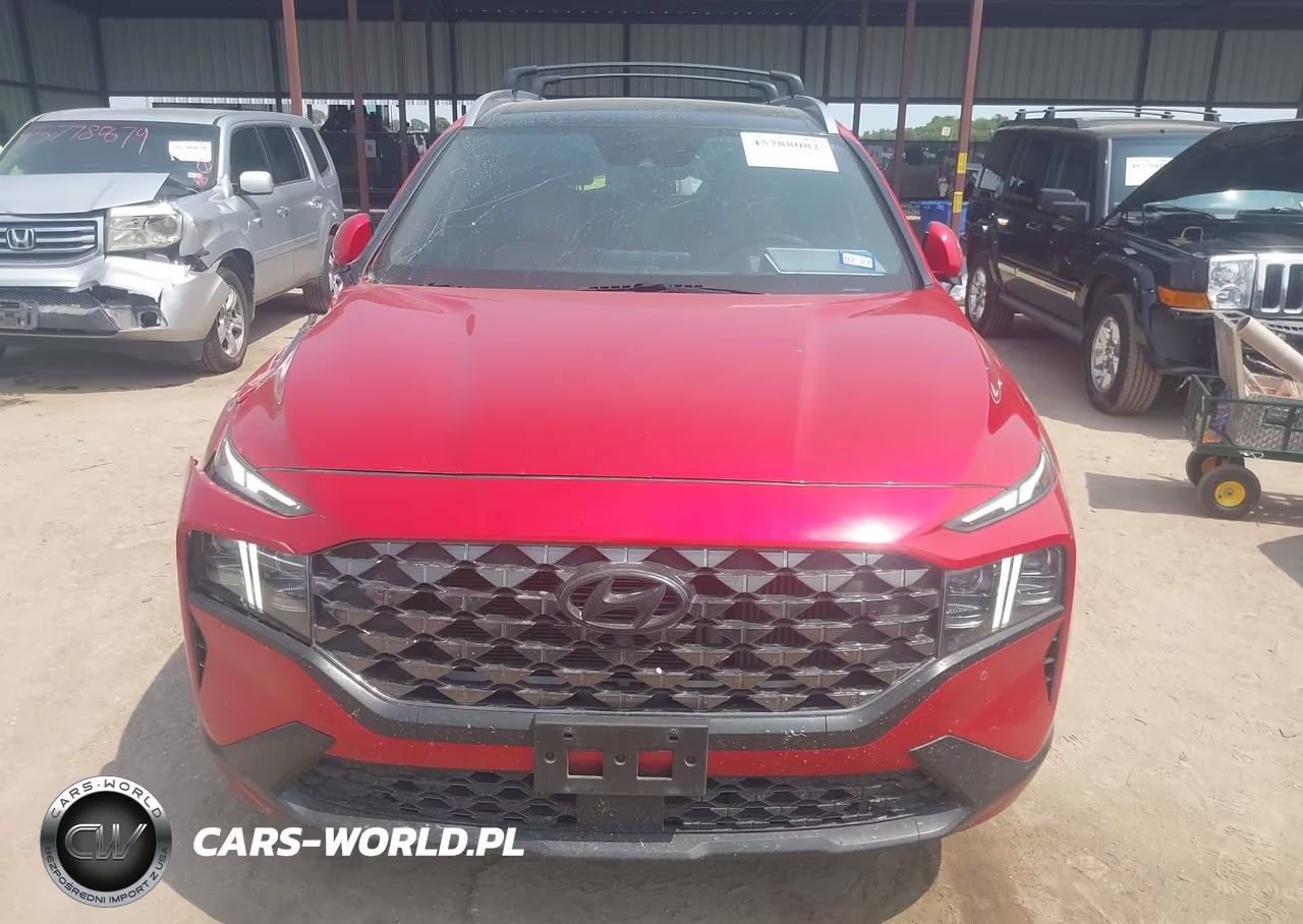 2023 Hyundai Santa Fe Calligraphy VIN:5NMS5DAL7PH585082 - 12