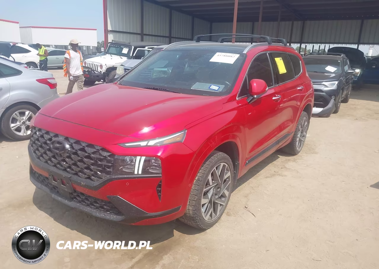 2023 Hyundai Santa Fe Calligraphy VIN:5NMS5DAL7PH585082 - 2