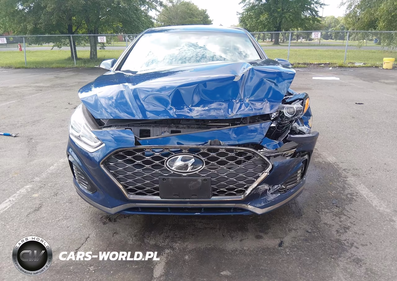 2019 Hyundai Sonata Sel VIN:5NPE34AF7KH757247 - 12