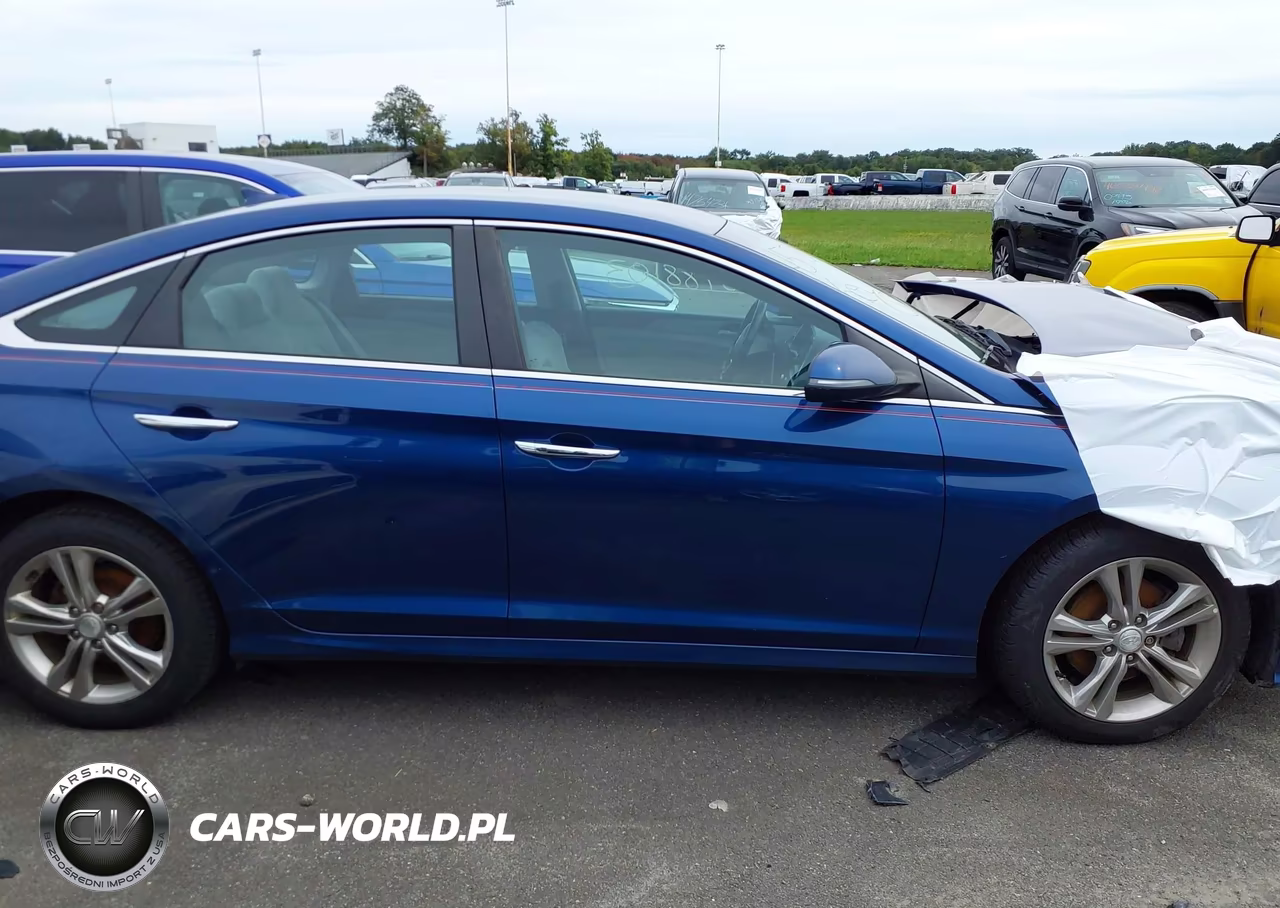 2019 Hyundai Sonata Sel VIN:5NPE34AF7KH757247 - 13