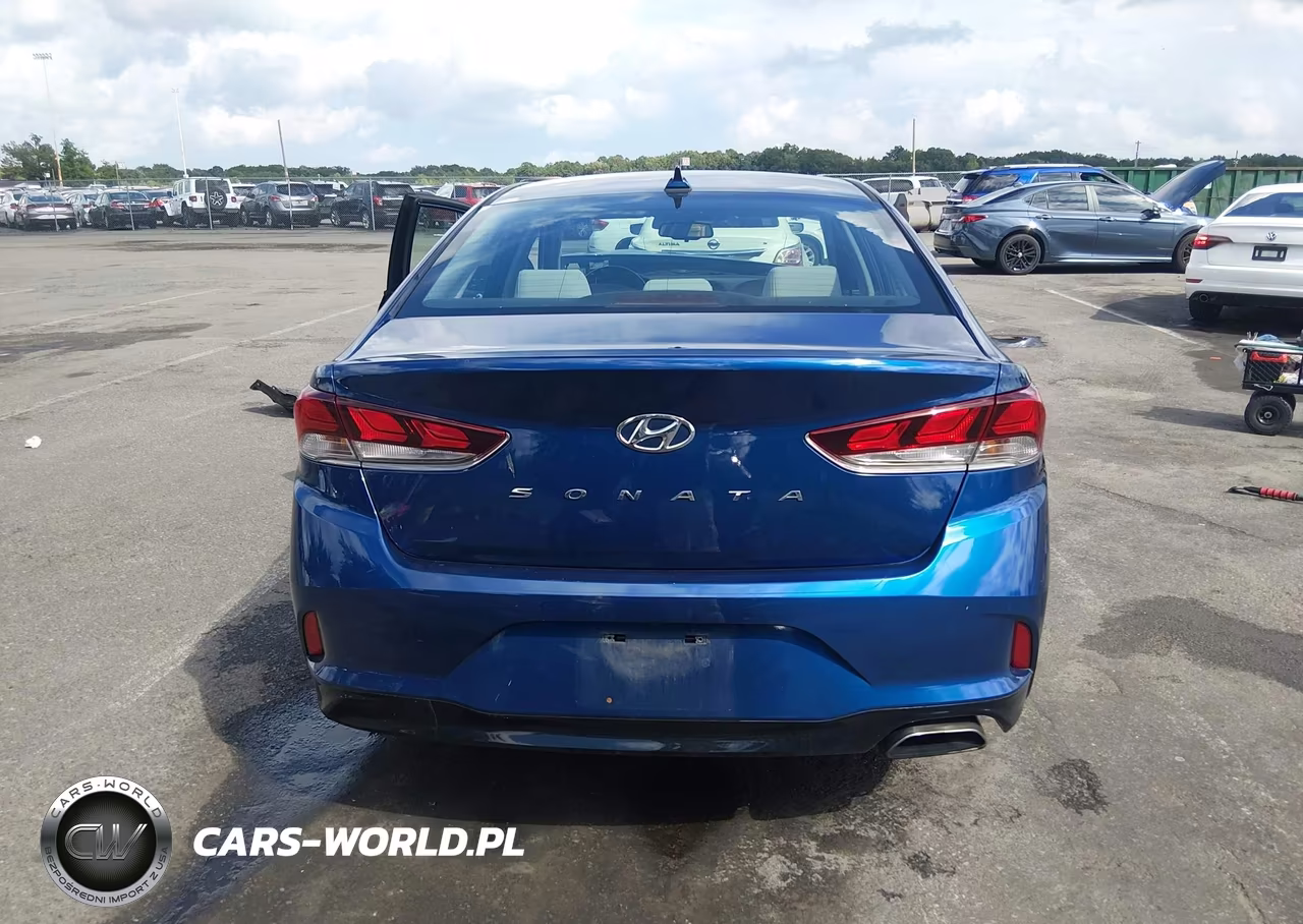2019 Hyundai Sonata Sel VIN:5NPE34AF7KH757247 - 16