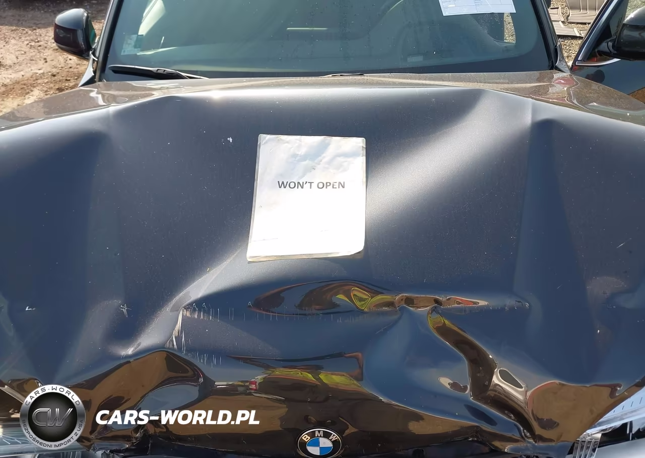 2017 BMW X5 xDrive35I VIN:5UXKR0C55H0U54924 - 10