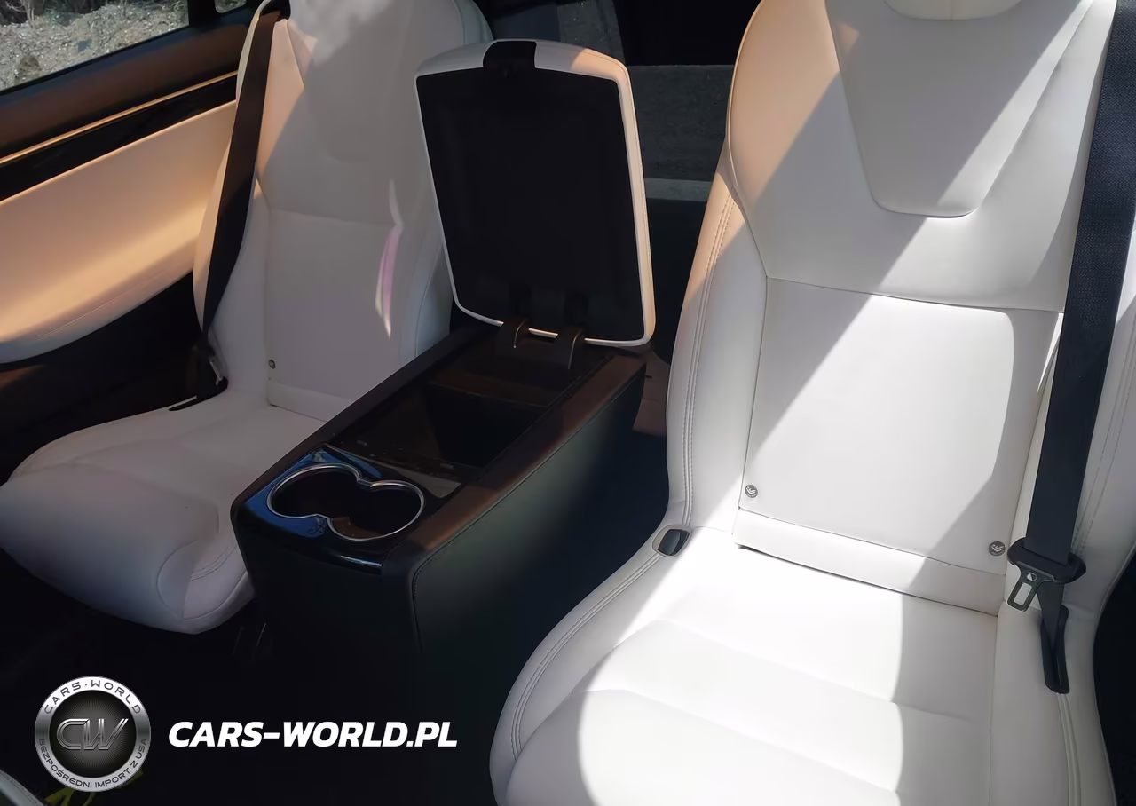 2018 Tesla Model X 100D-75D-P100D VIN:5YJXCBE23JF090422 - 8