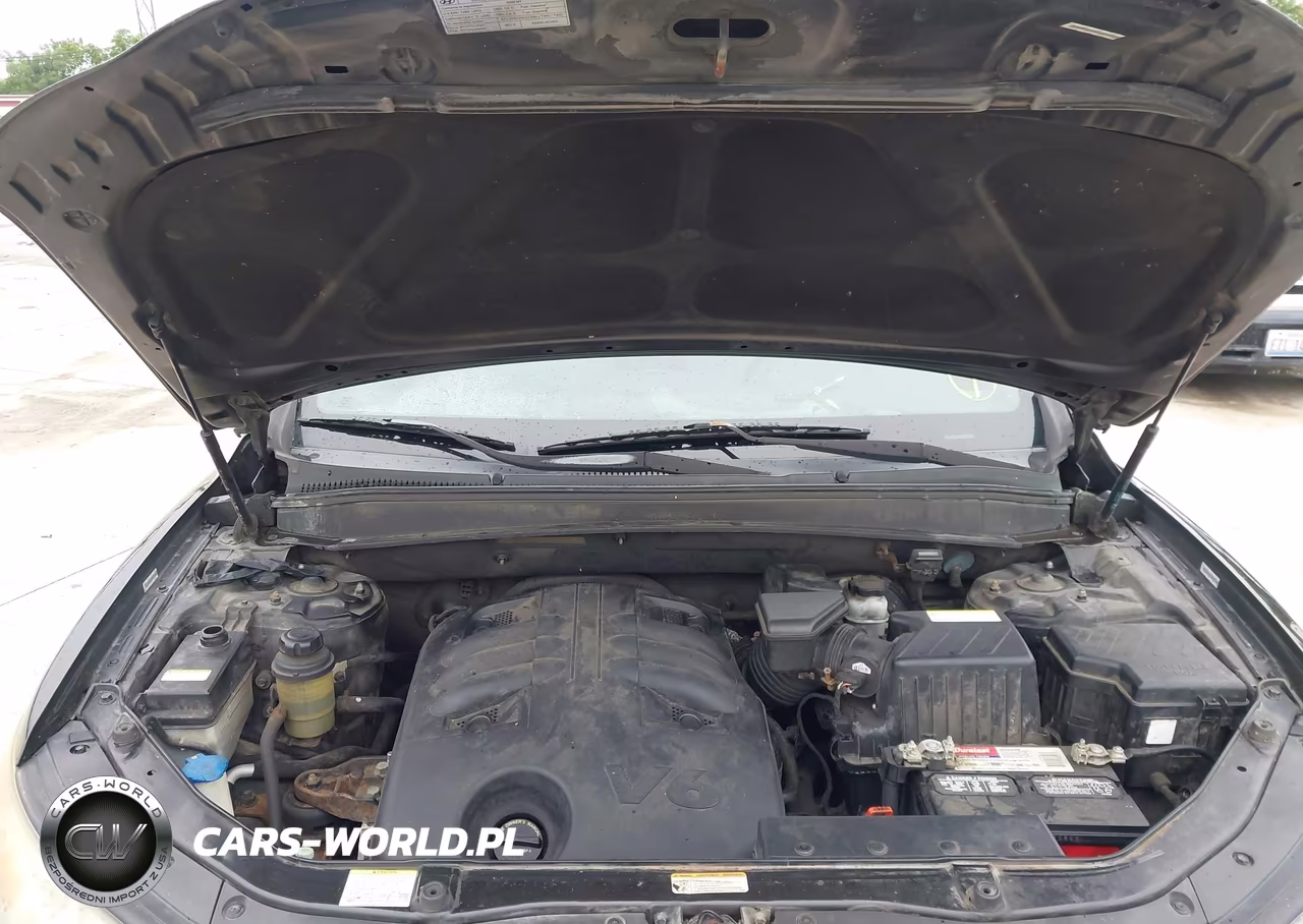 2009 Hyundai Santa Fe Se VIN:5NMSH13E99H231281 - 10