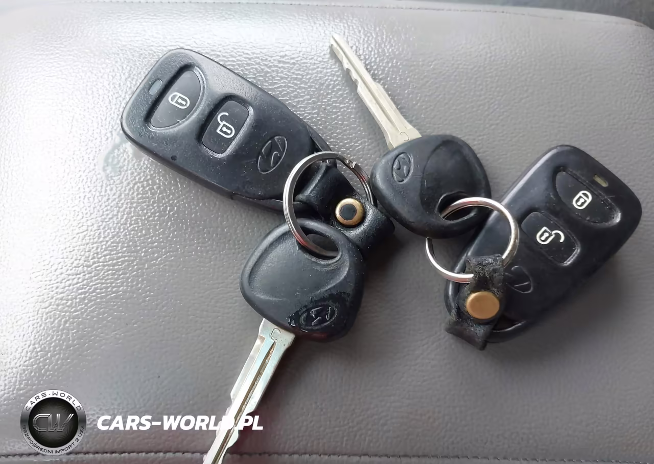 2009 Hyundai Santa Fe Se VIN:5NMSH13E99H231281 - 11
