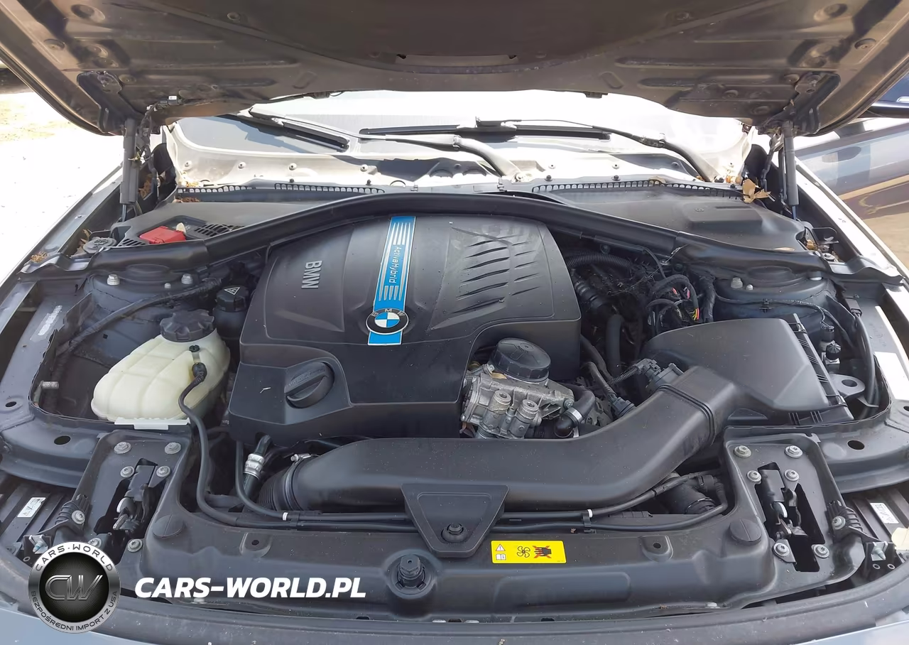 2013 BMW Activehybrid 3 VIN:WBA3F9C55DF483900 - 10