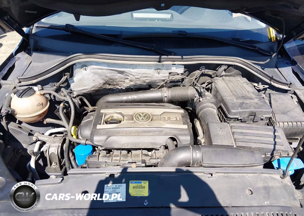 2014 Volkswagen Tiguan S VIN:WVGBV3AXXEW592370 - 10