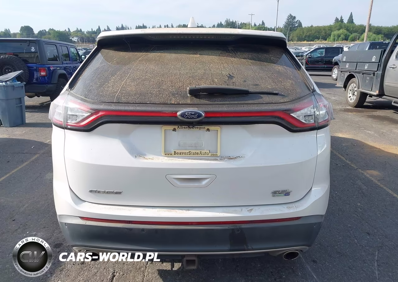 2015 Ford Edge Sel VIN:2FMTK4J9XFBB68064 - 16