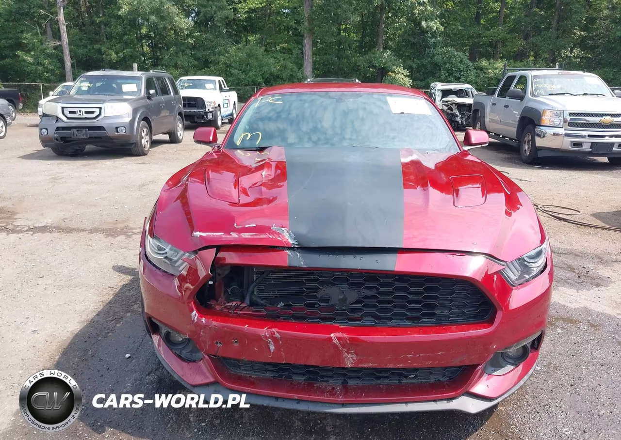 2017 Ford Mustang Ecoboost VIN:1FA6P8TH4H5205461 - 12