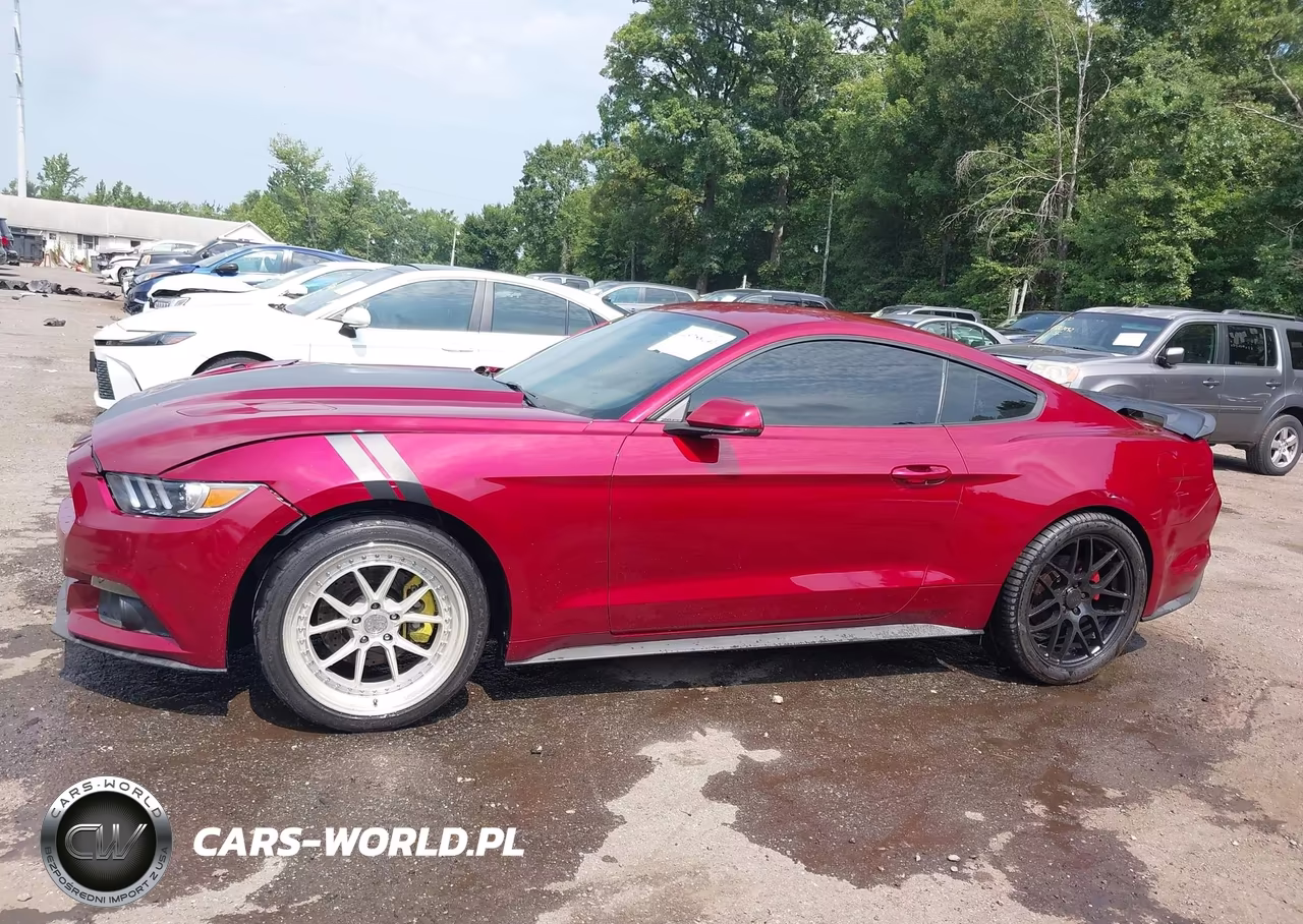 2017 Ford Mustang Ecoboost VIN:1FA6P8TH4H5205461 - 14