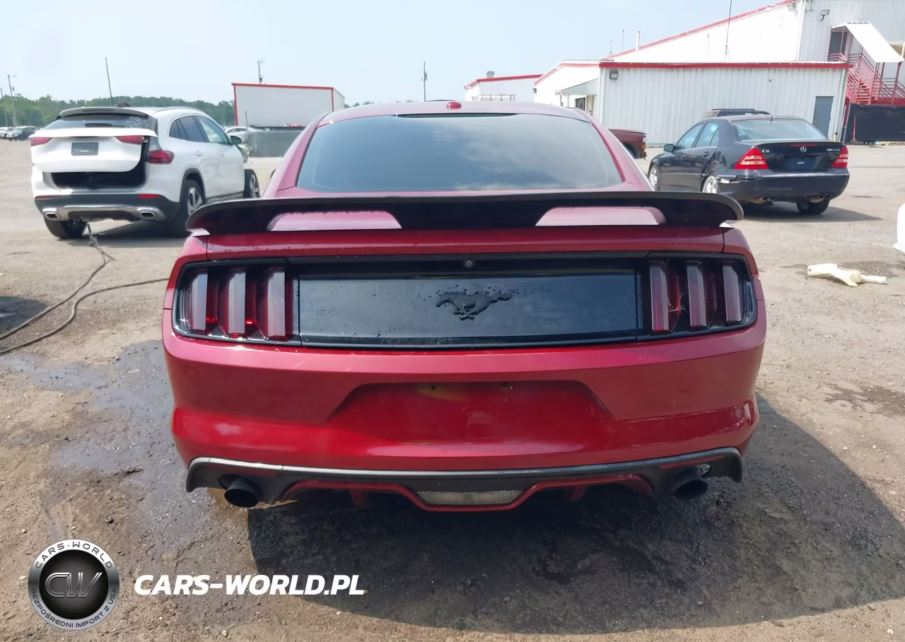 2017 Ford Mustang Ecoboost VIN:1FA6P8TH4H5205461 - 16
