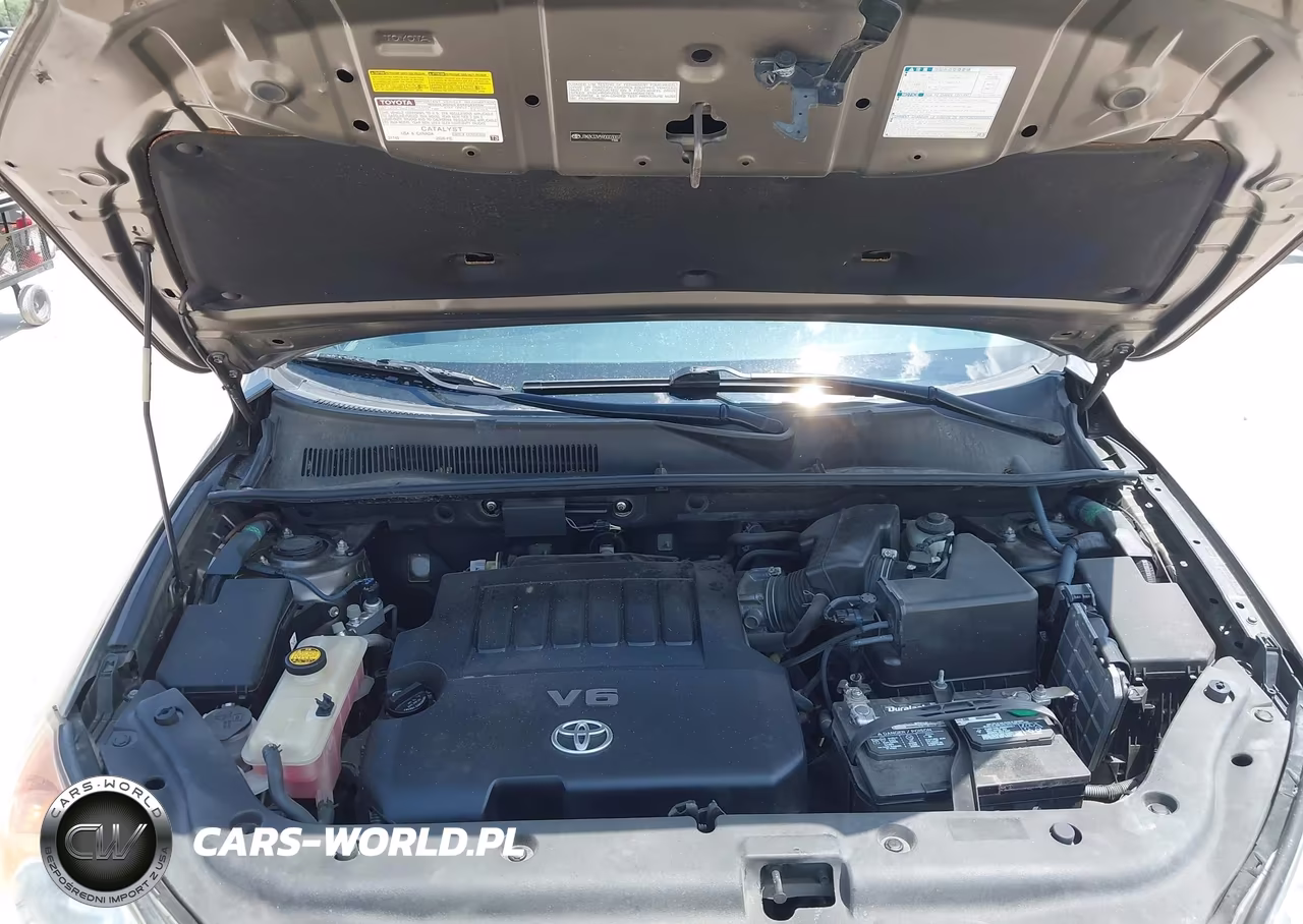 2009 Toyota Rav4 Base V6 VIN:JTMZK33V59D003007 - 10