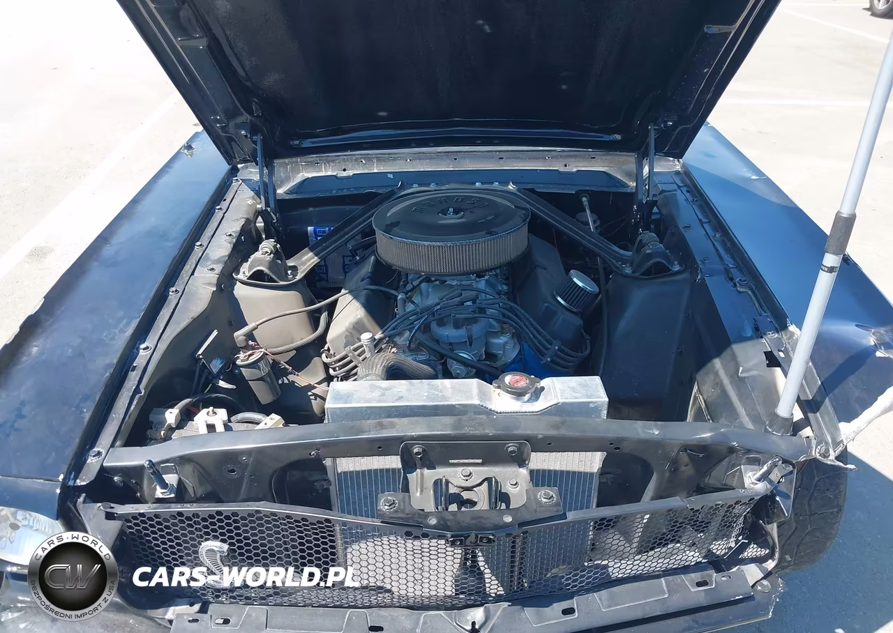 1965 Ford Mustang Gt Fastback VIN:0000005F07U165424 - 10