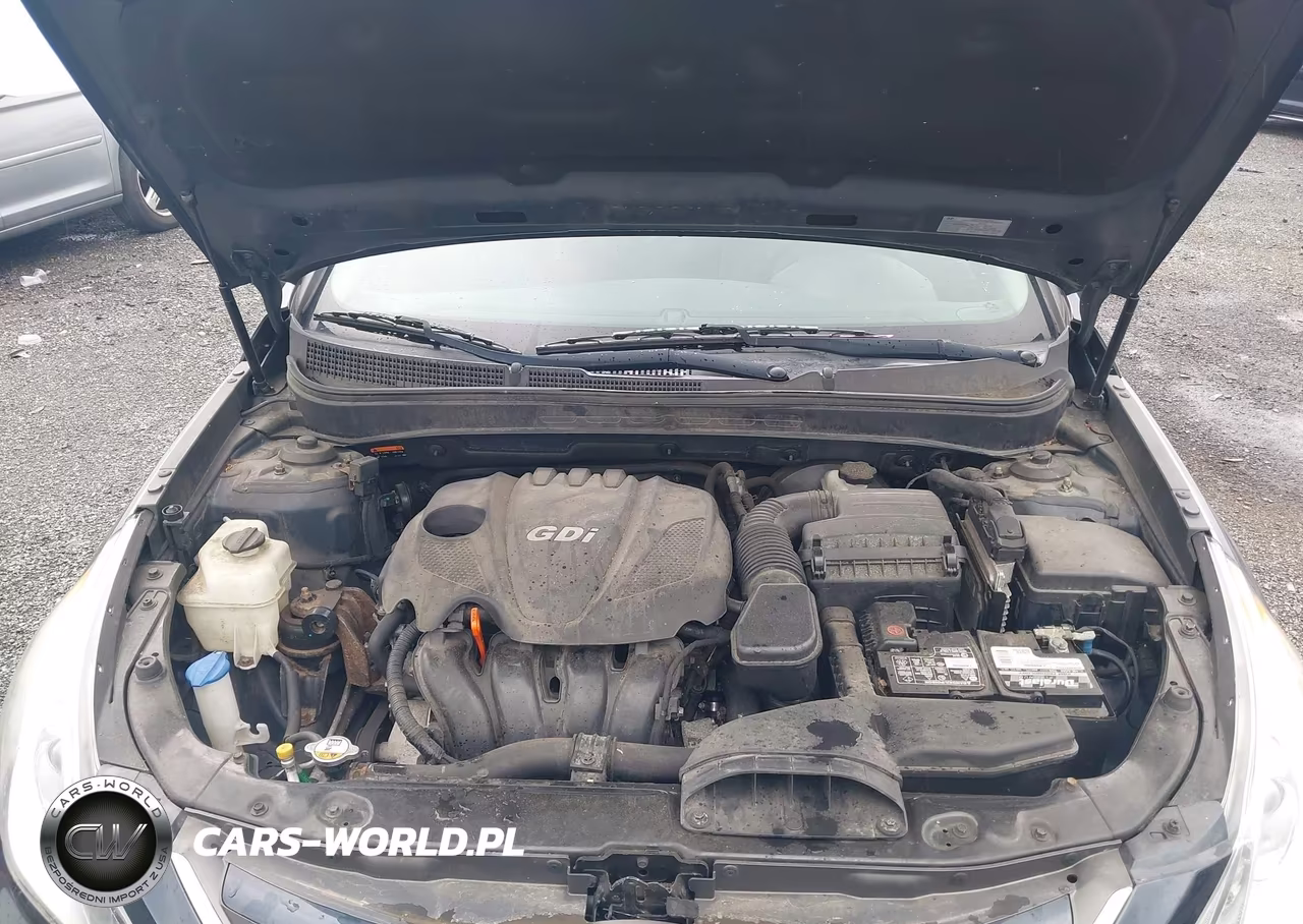2014 Hyundai Sonata Gls VIN:5NPEB4ACXEH844119 - 10