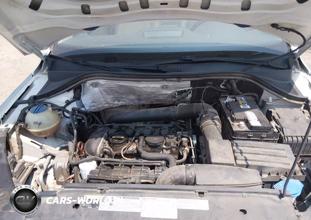 2013 Volkswagen Tiguan Se VIN:WVGAV7AX5DW551419 - 10