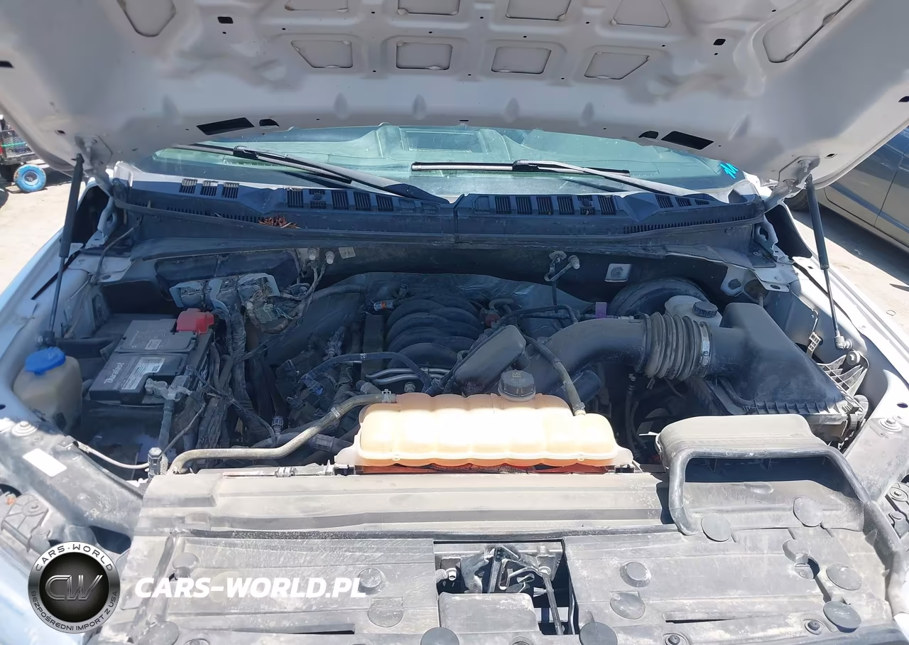 2019 Ford F-150 Xl VIN:1FTEW1C52KFA21952 - 10