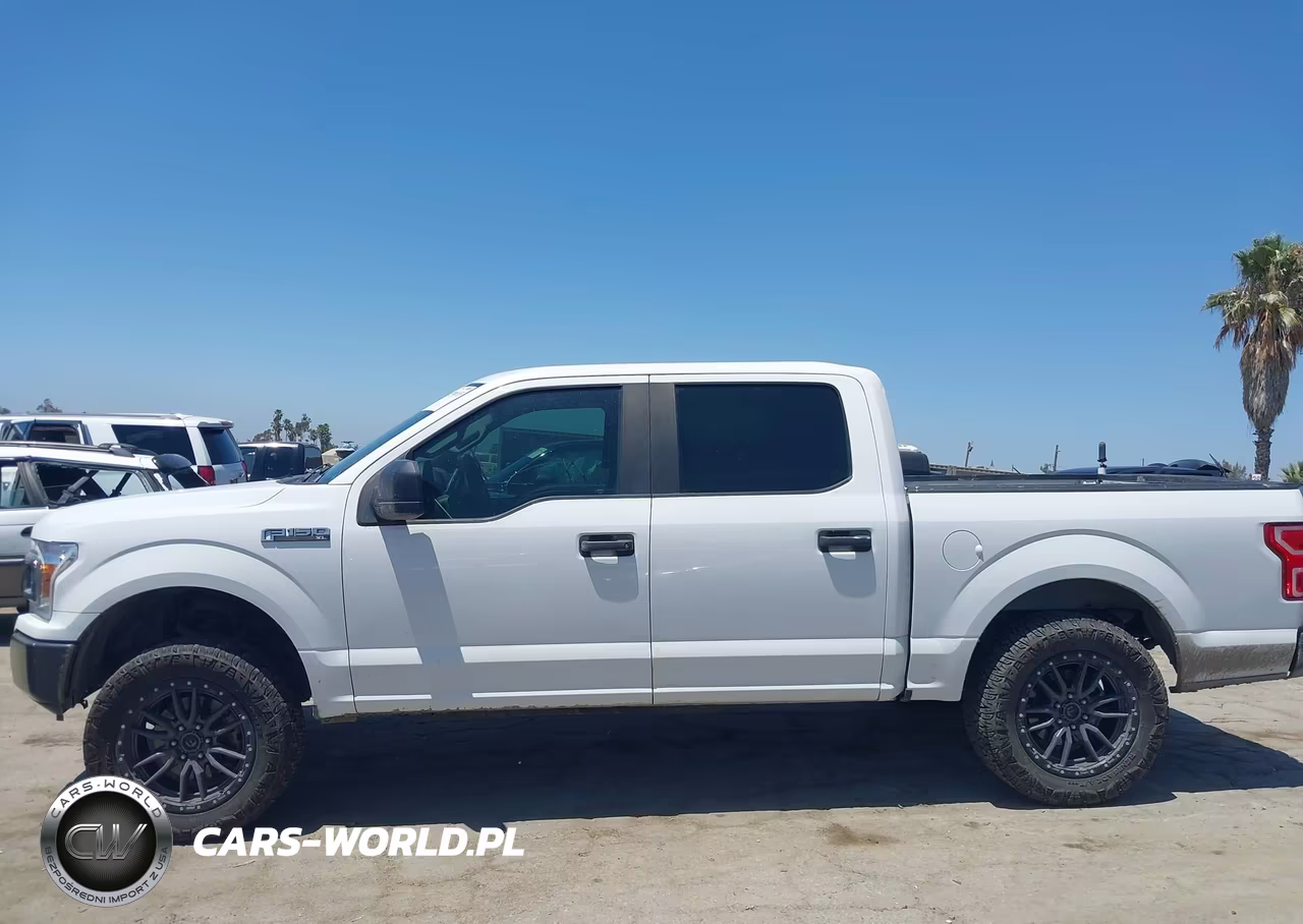 2019 Ford F-150 Xl VIN:1FTEW1C52KFA21952 - 15