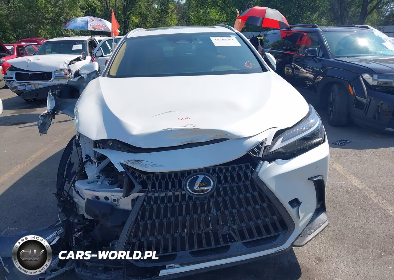 2025 Lexus Nx 350 Premium VIN:JTJGGCEZ6S5010358 - 12