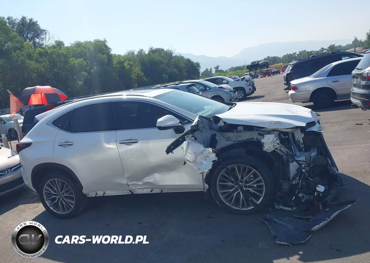 2025 Lexus Nx 350 Premium VIN:JTJGGCEZ6S5010358 - 13
