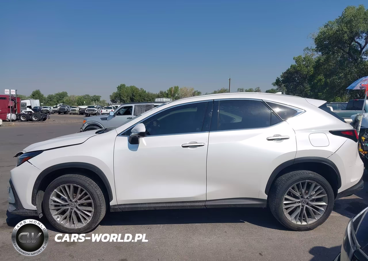 2025 Lexus Nx 350 Premium VIN:JTJGGCEZ6S5010358 - 14