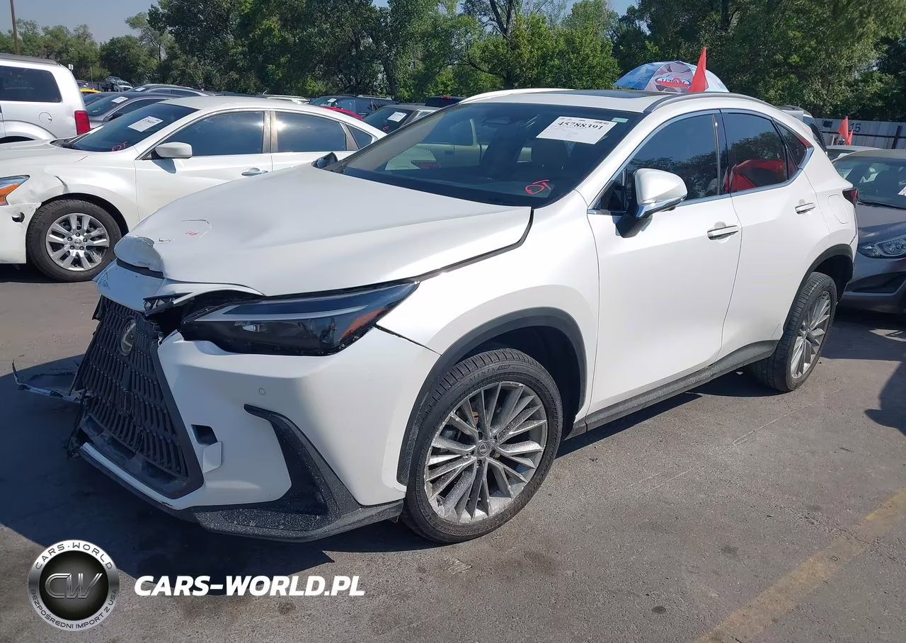 2025 Lexus Nx 350 Premium VIN:JTJGGCEZ6S5010358 - 2