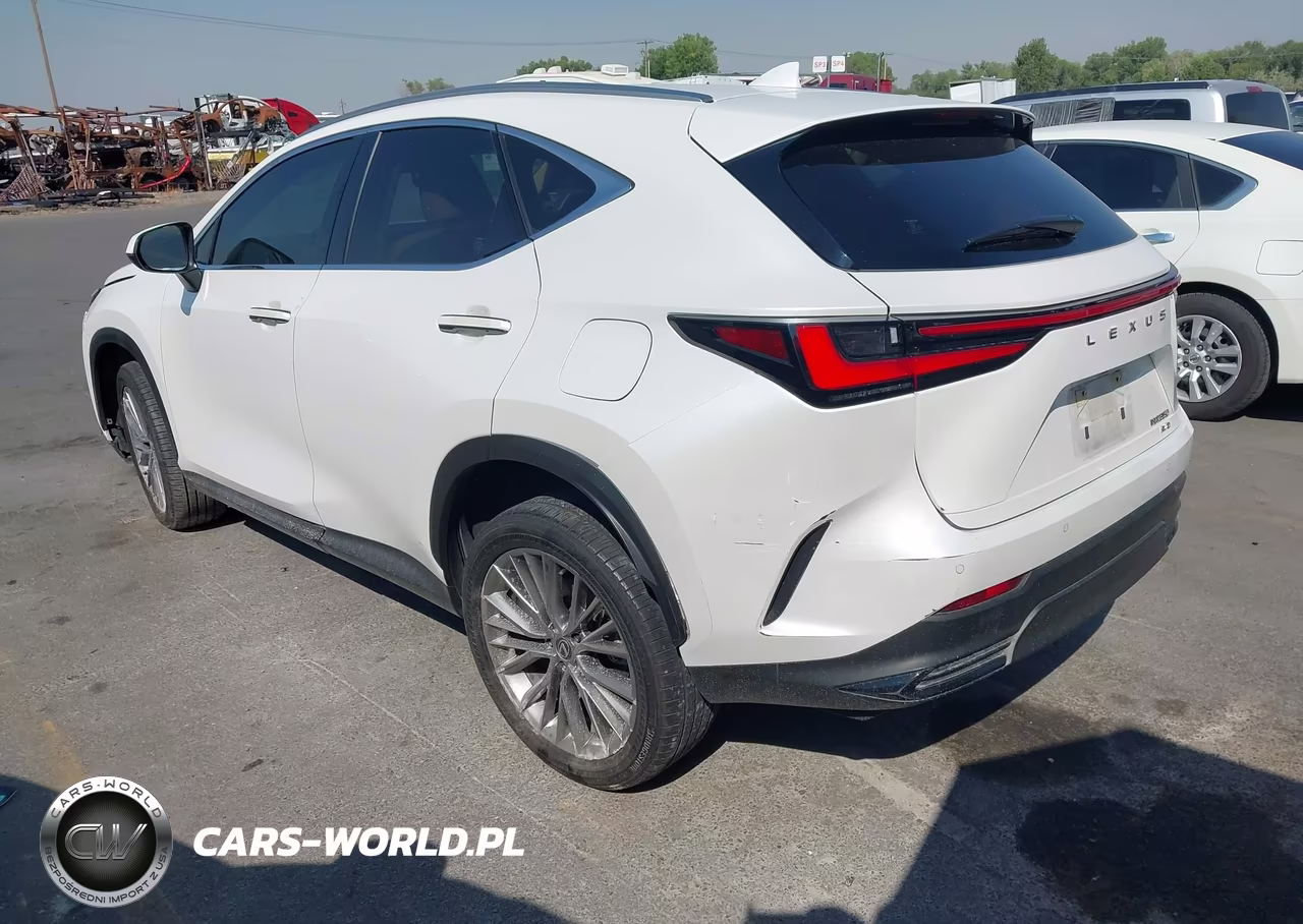 2025 Lexus Nx 350 Premium VIN:JTJGGCEZ6S5010358 - 3