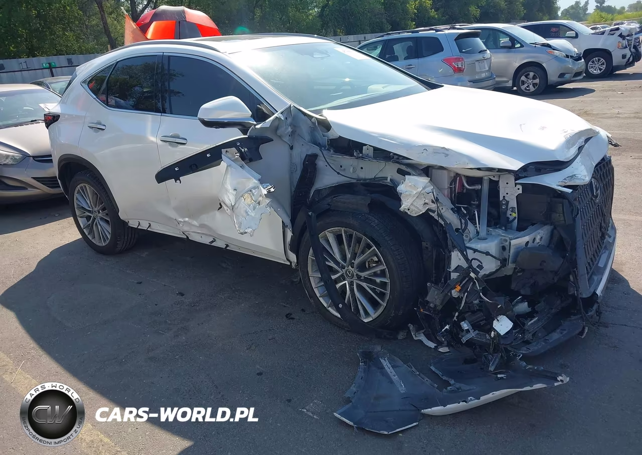 2025 Lexus Nx 350 Premium VIN:JTJGGCEZ6S5010358 - 6