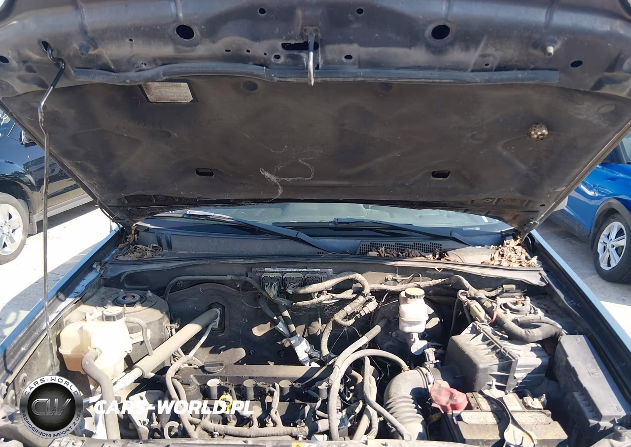 2010 Ford Escape Xlt VIN:1FMCU0D71AKD43491 - 10