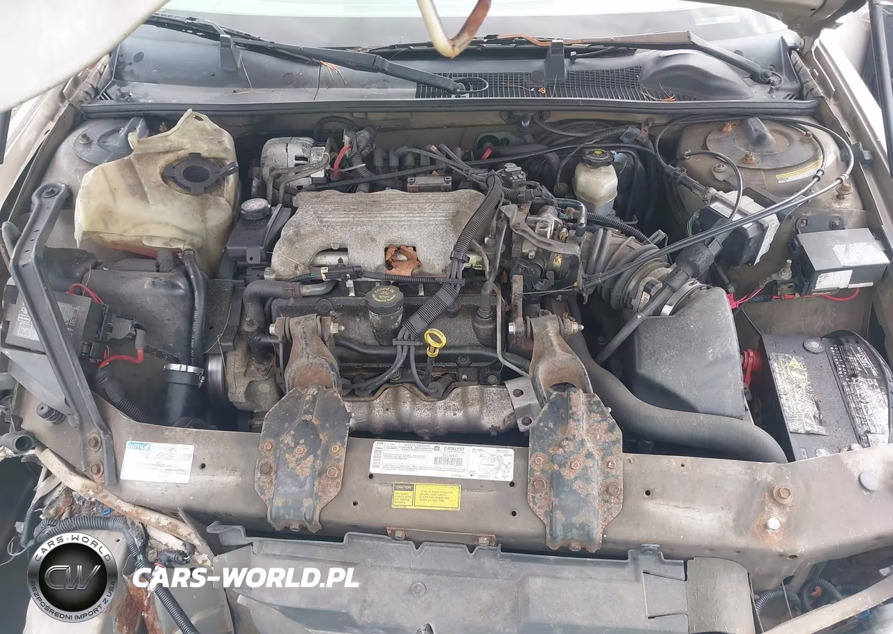 1999 Chevrolet Lumina VIN:2G1WL52M8X9281228 - 10