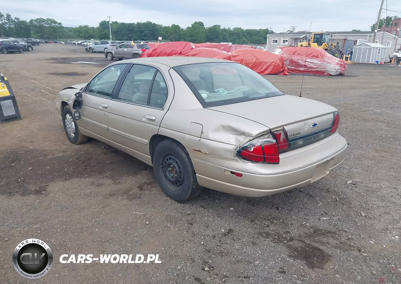 1999 Chevrolet Lumina VIN:2G1WL52M8X9281228 - 3