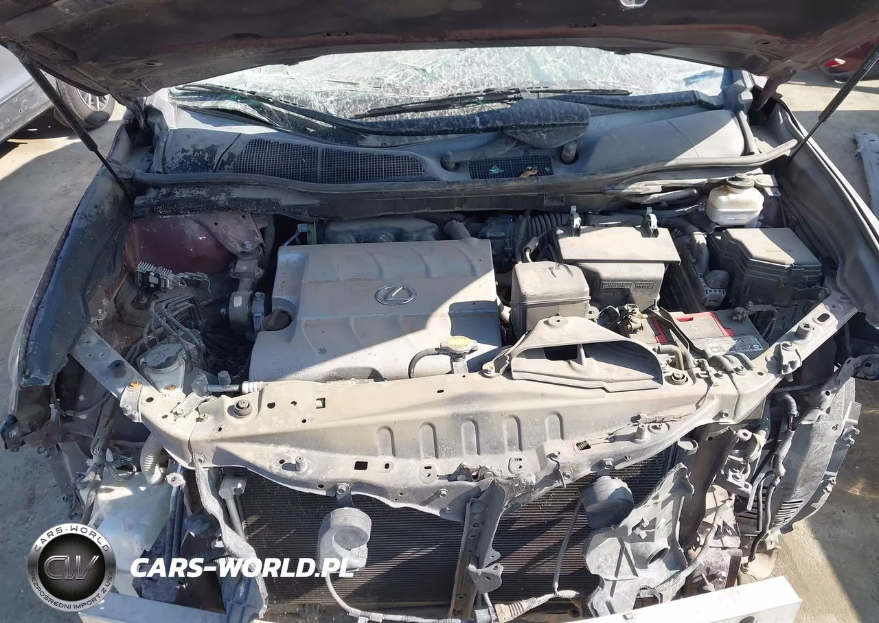 2014 Lexus Rx 350 Base VIN:2T2BK1BA0EC250443 - 10