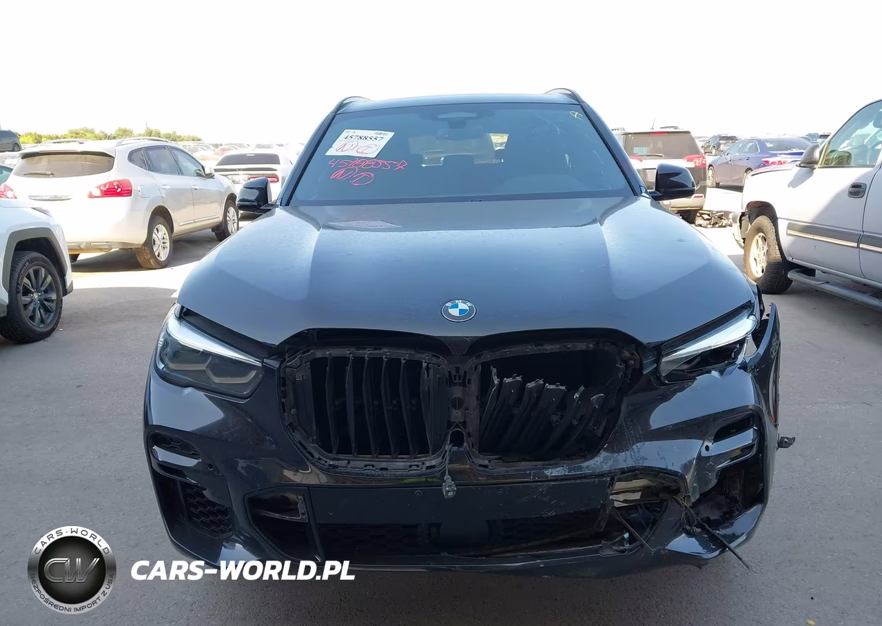2023 BMW X5 Sdrive40I VIN:5UXCR4C02P9N47832 - 13