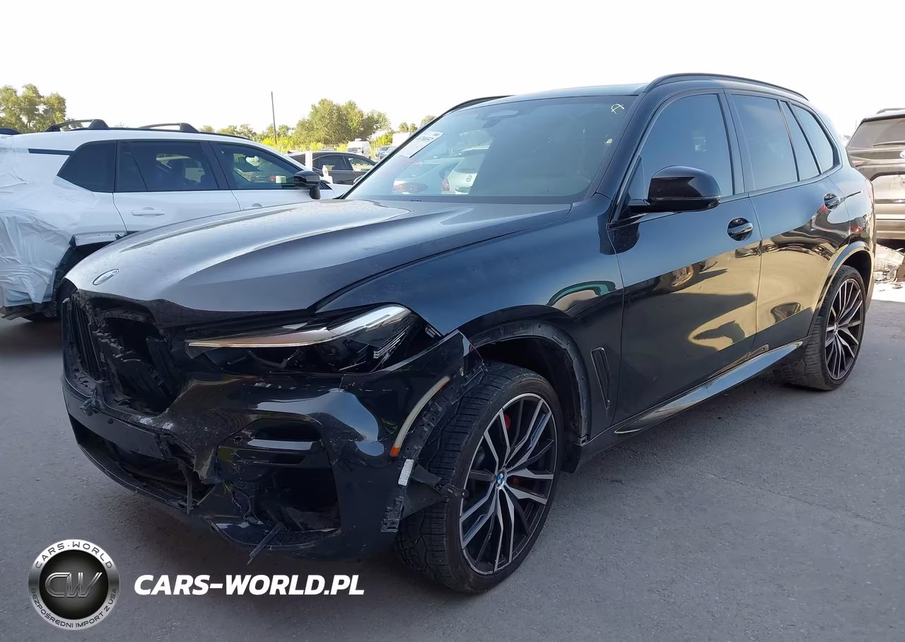 2023 BMW X5 Sdrive40I VIN:5UXCR4C02P9N47832 - 18