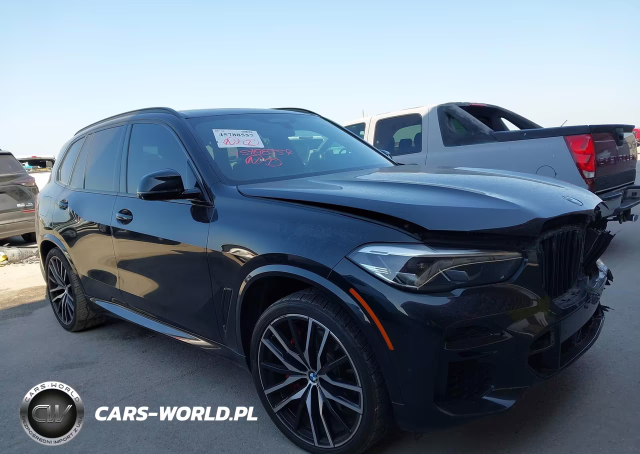 2023 BMW X5 Sdrive40I VIN:5UXCR4C02P9N47832 - 19