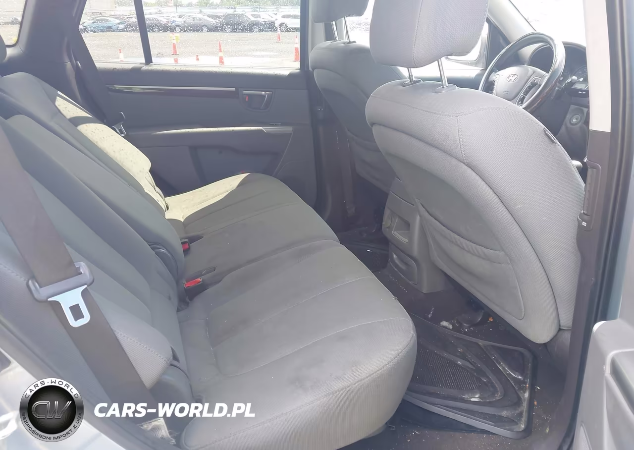 2010 Hyundai Santa Fe Gls VIN:5NMSGDAB1AH373464 - 8