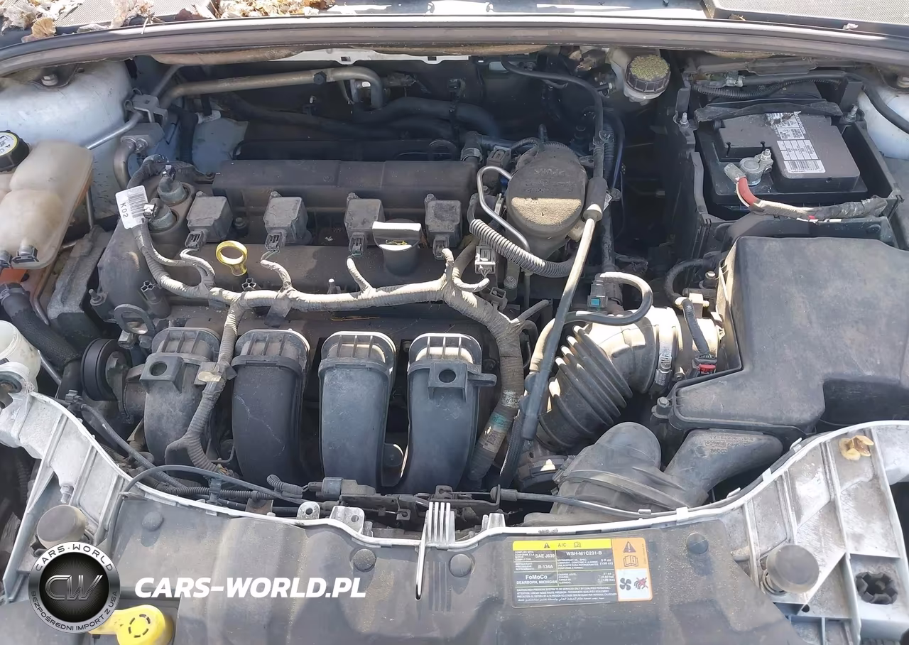 2012 Ford Focus Sel VIN:1FAHP3M20CL450851 - 10