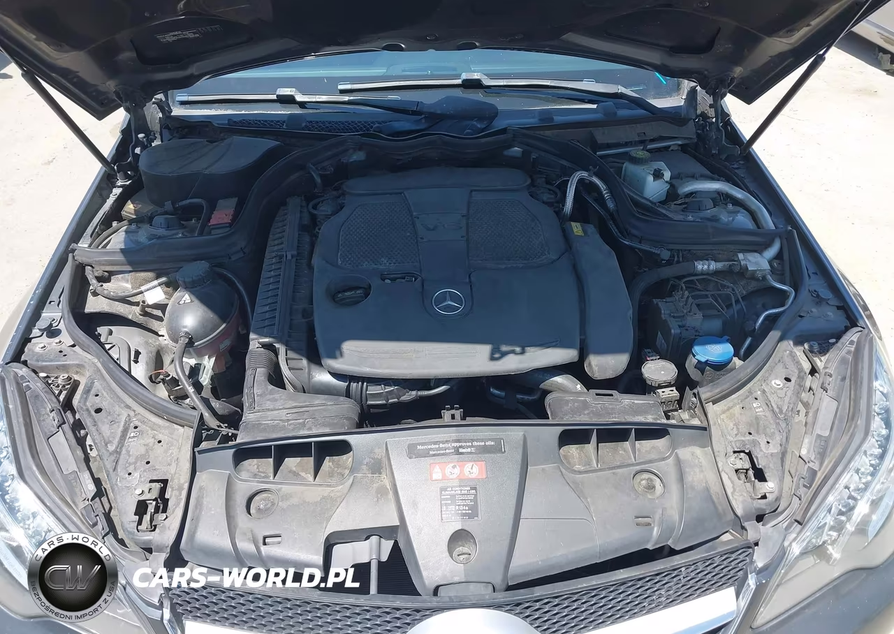 2014 Mercedes-Benz E 350 VIN:WDDKJ5KB0EF284158 - 10