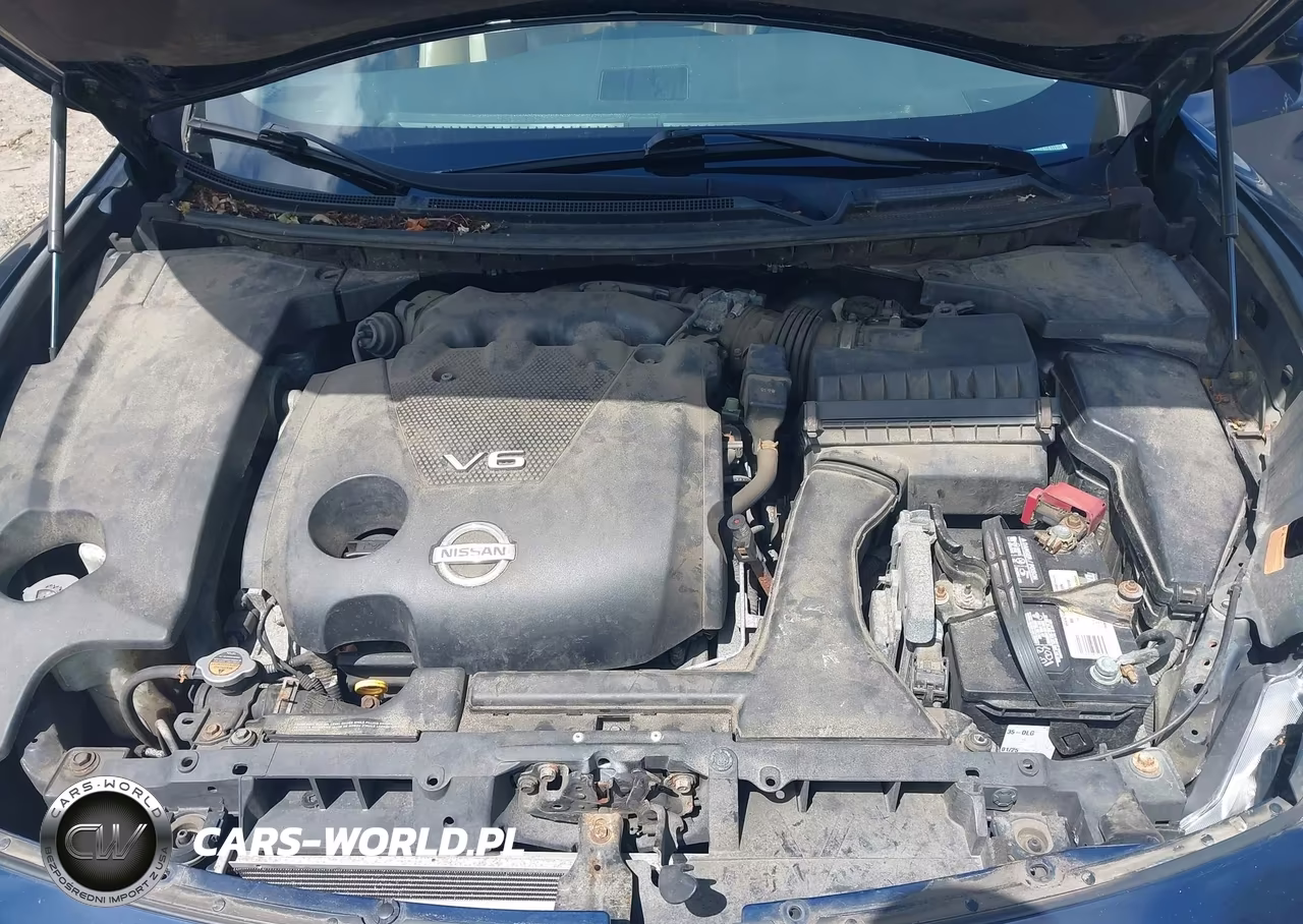2009 Nissan Maxima 3.5 Sv VIN:1N4AA51E59C815319 - 10