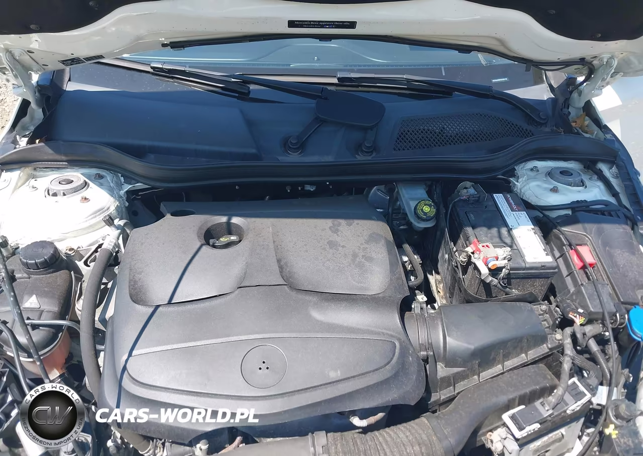 2016 Mercedes-Benz Cla 250 VIN:WDDSJ4EB9GN330133 - 10