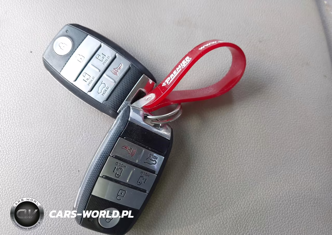 2017 Kia Sedona Lx VIN:KNDMB5C16H6319909 - 11