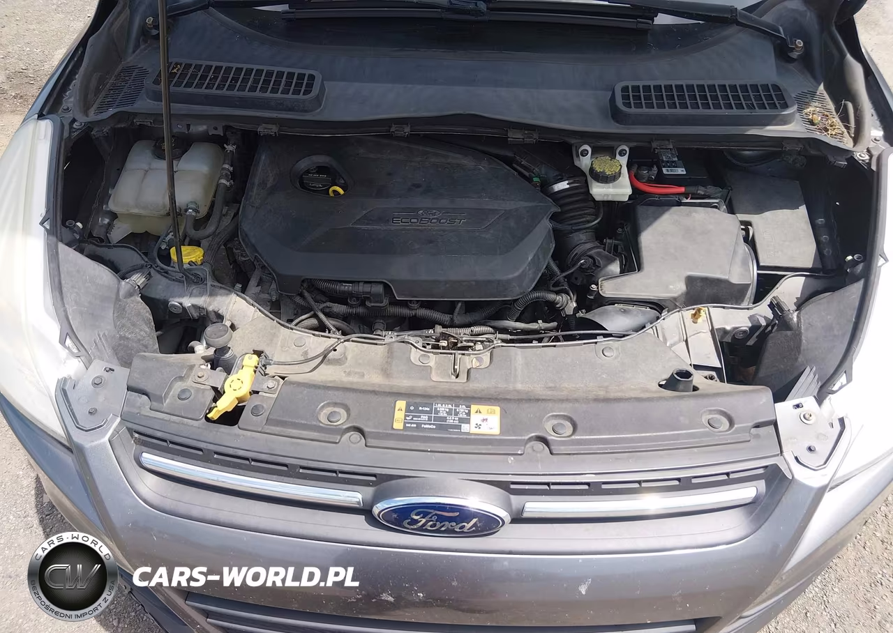 2014 Ford Escape Se VIN:1FMCU9GX1EUB49246 - 10