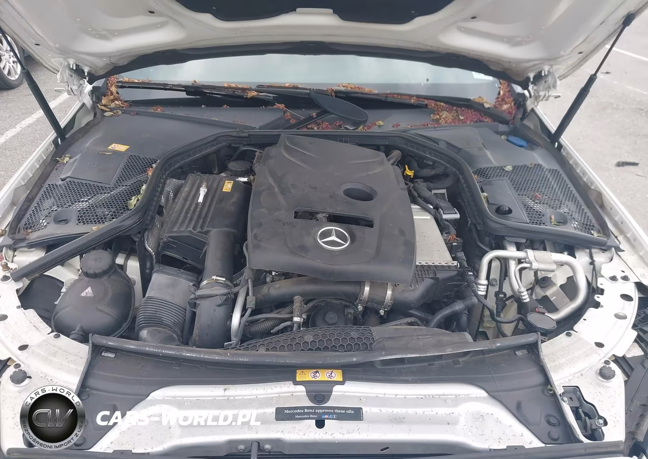 2017 Mercedes-Benz C 300 4Matic VIN:WDDWJ4KB3HF364201 - 10
