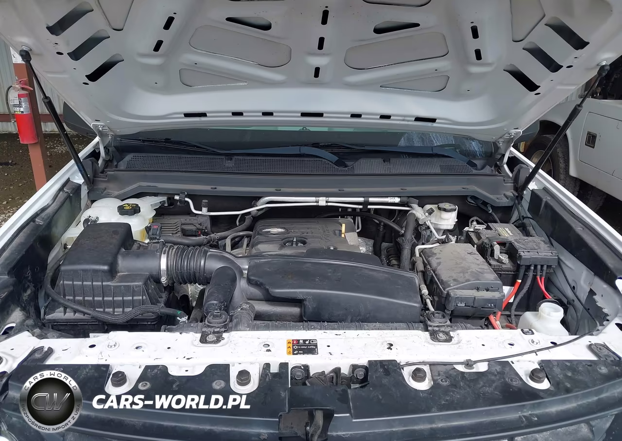 2020 Chevrolet Colorado 2Wd Long Box Wt VIN:1GCHSBEA9L1179194 - 10