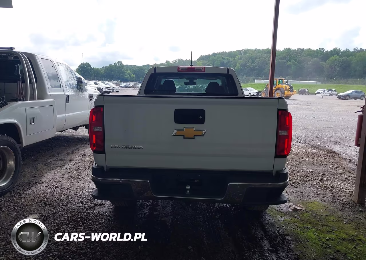 2020 Chevrolet Colorado 2Wd Long Box Wt VIN:1GCHSBEA9L1179194 - 16