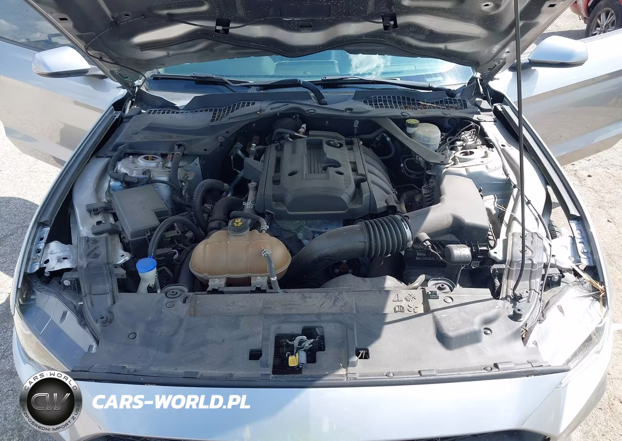 2020 Ford Mustang Ecoboost Premium VIN:1FATP8UH5L5138783 - 10