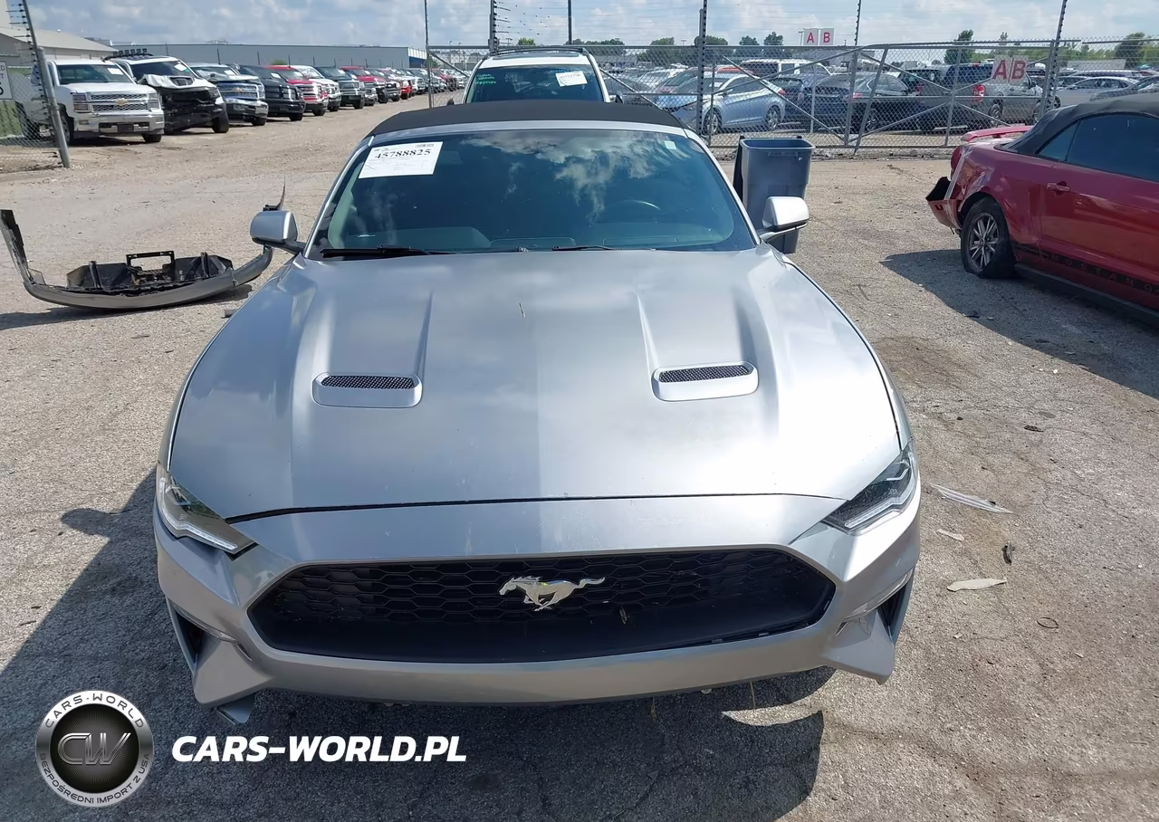 2020 Ford Mustang Ecoboost Premium VIN:1FATP8UH5L5138783 - 13