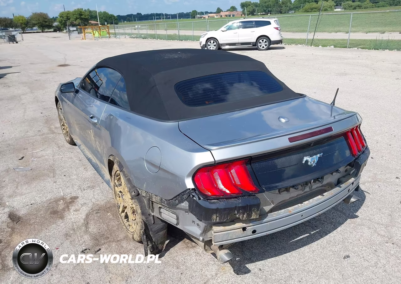 2020 Ford Mustang Ecoboost Premium VIN:1FATP8UH5L5138783 - 3